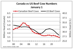 Canada vs US beef cow numbers January 1