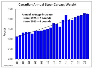 A chart depicting Canadian annual steer carcass weight